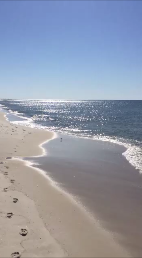 Beach shoreline view